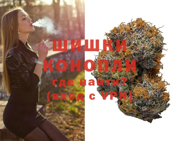 крисы Аркадак