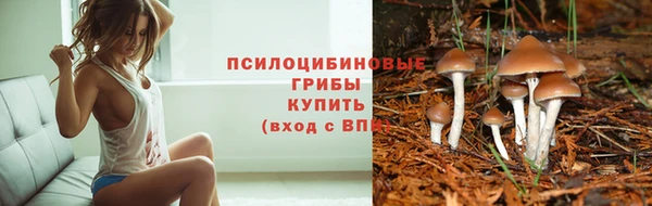 альфа пвп Арсеньев