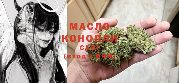 гашик Осинники