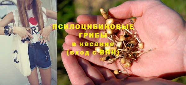 крисы Аркадак