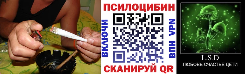 omg tor  Цивильск  Галлюциногенные грибы Psilocybe 
